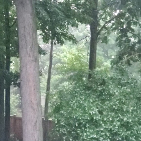 Meet your Posher, Cristina - Picture 1 of 1